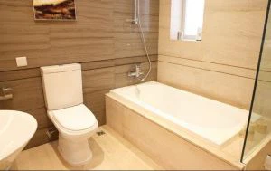 Vasca da bagno in lamiera PMMA / ABS Closestool